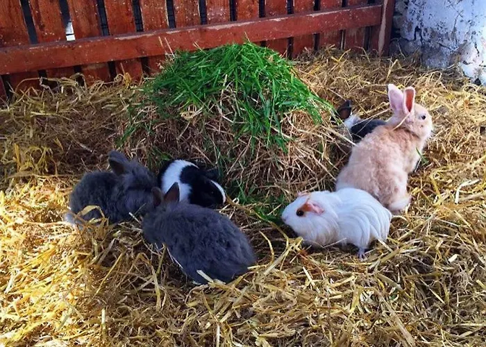 Vakantiehuis Newly Refurbished Self-catering Sleeping 5