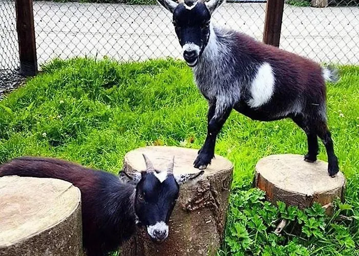 Newly Refurbished Self-catering Sleeping 5 Dom wakacyjny Wexford